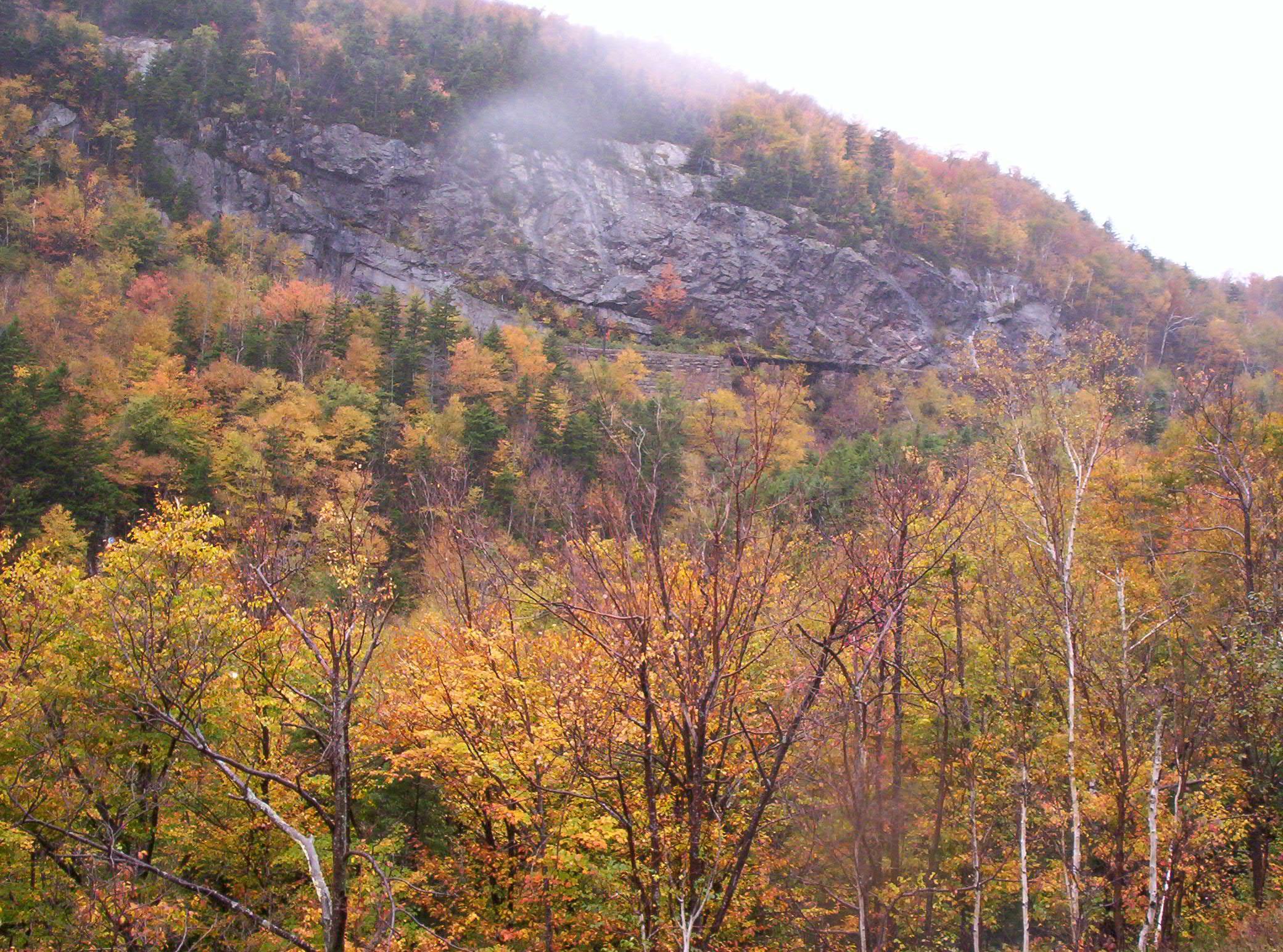 Mist Over Crawford Notch (user submitted)