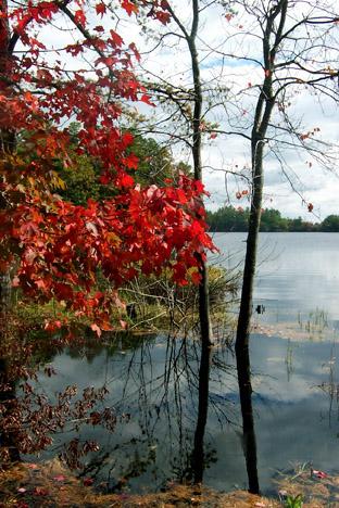 Fall Color and Reflections at Willand Pond (user submitted)