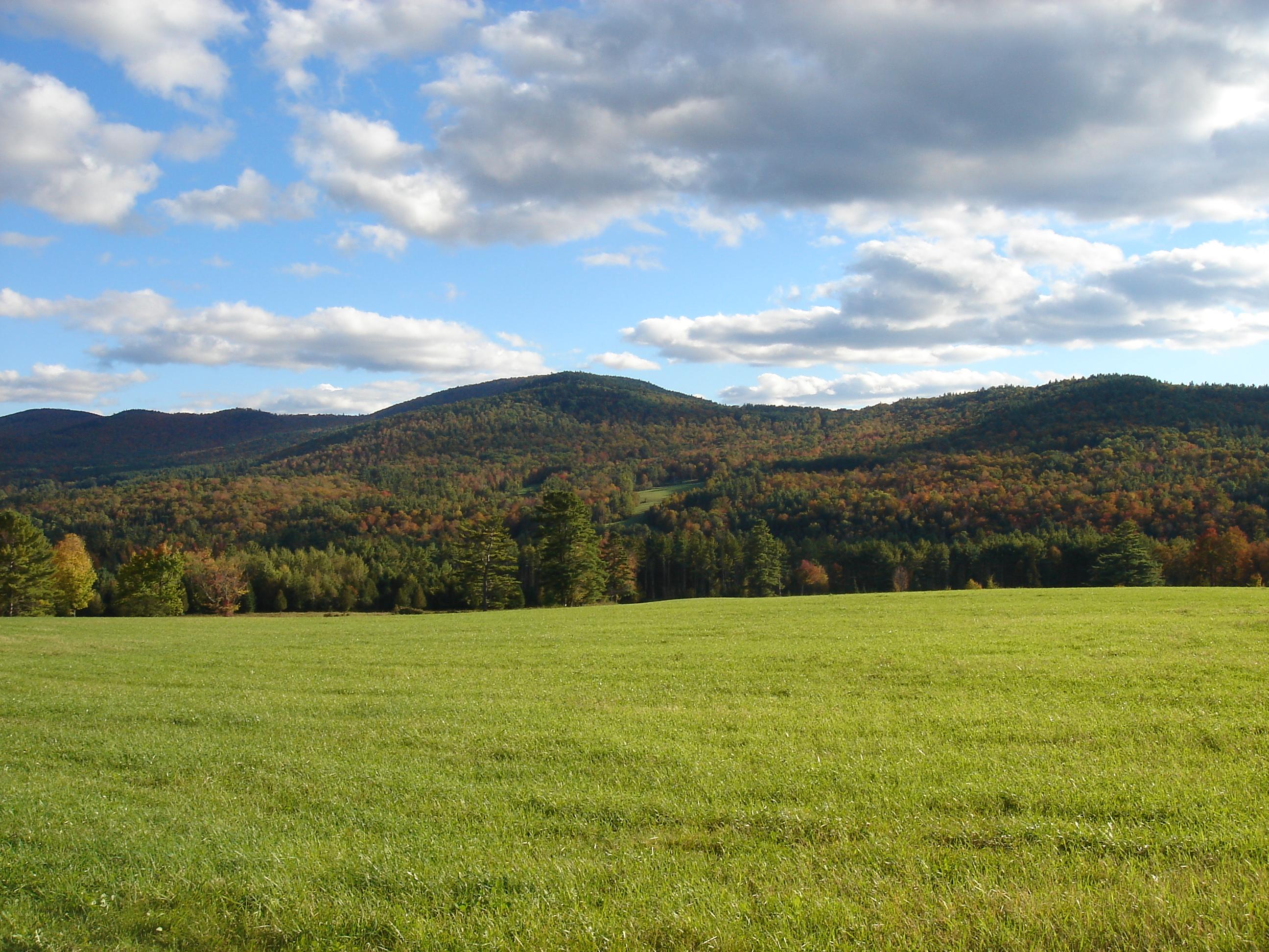Landaff Field New England Today