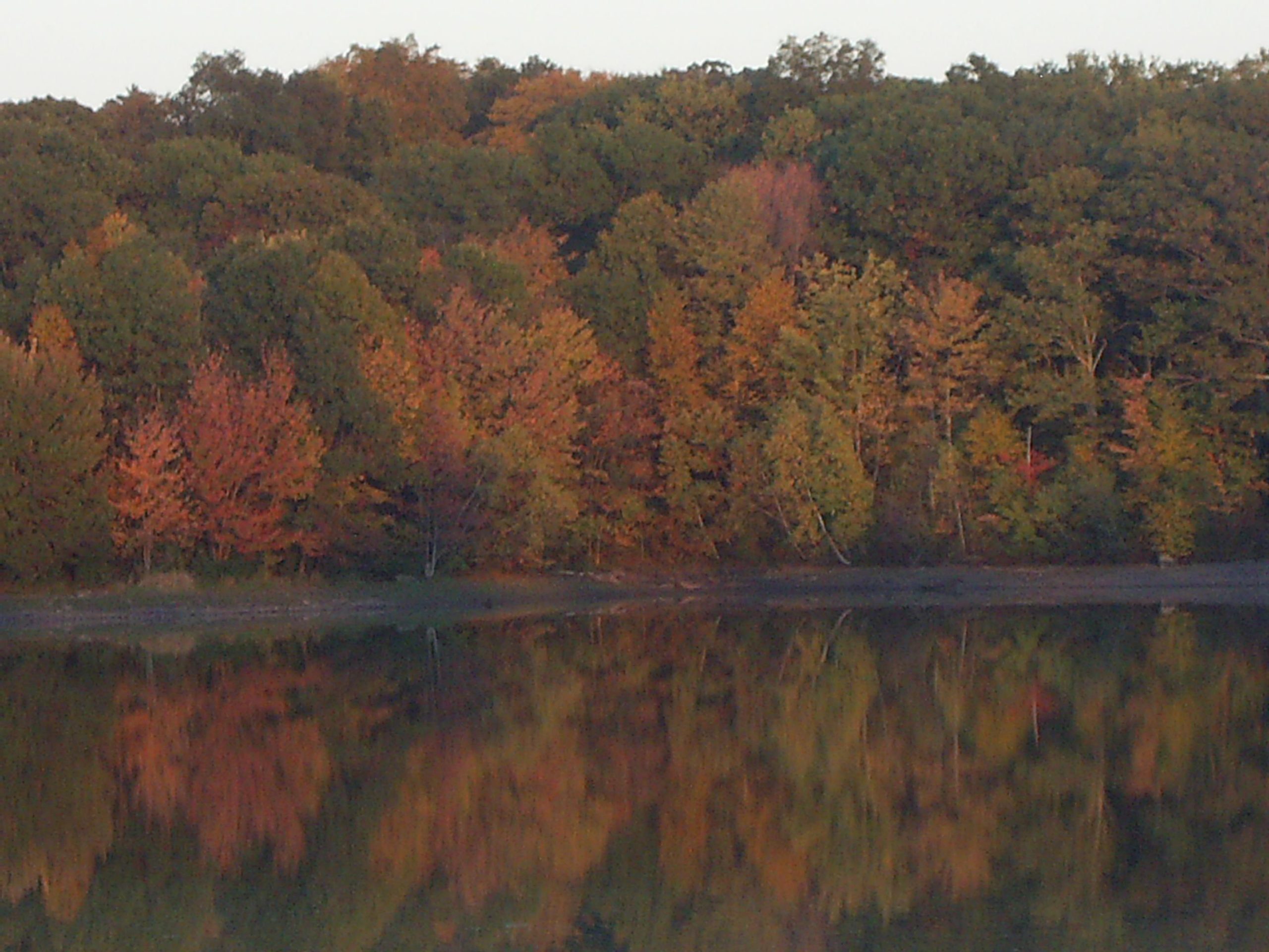 Reflections of Fall (user submitted)