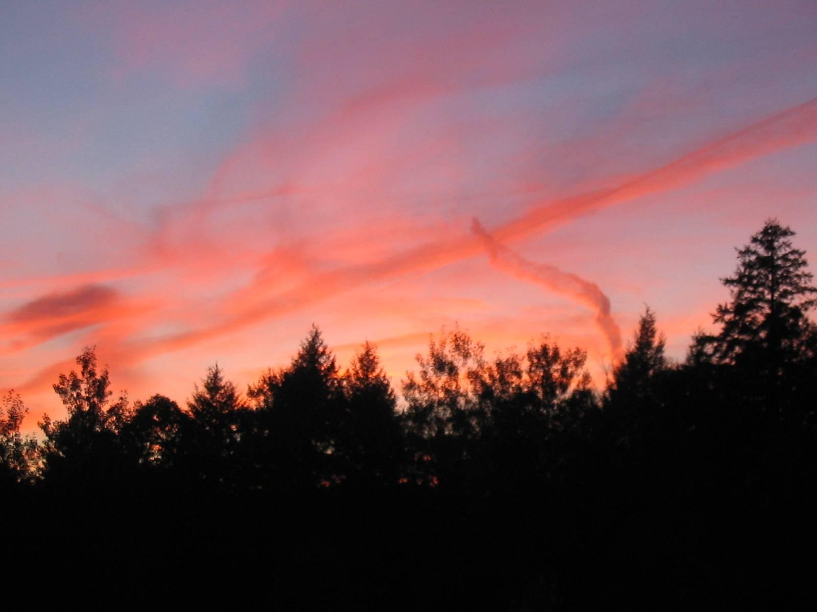 Contrail Sunset (user submitted)