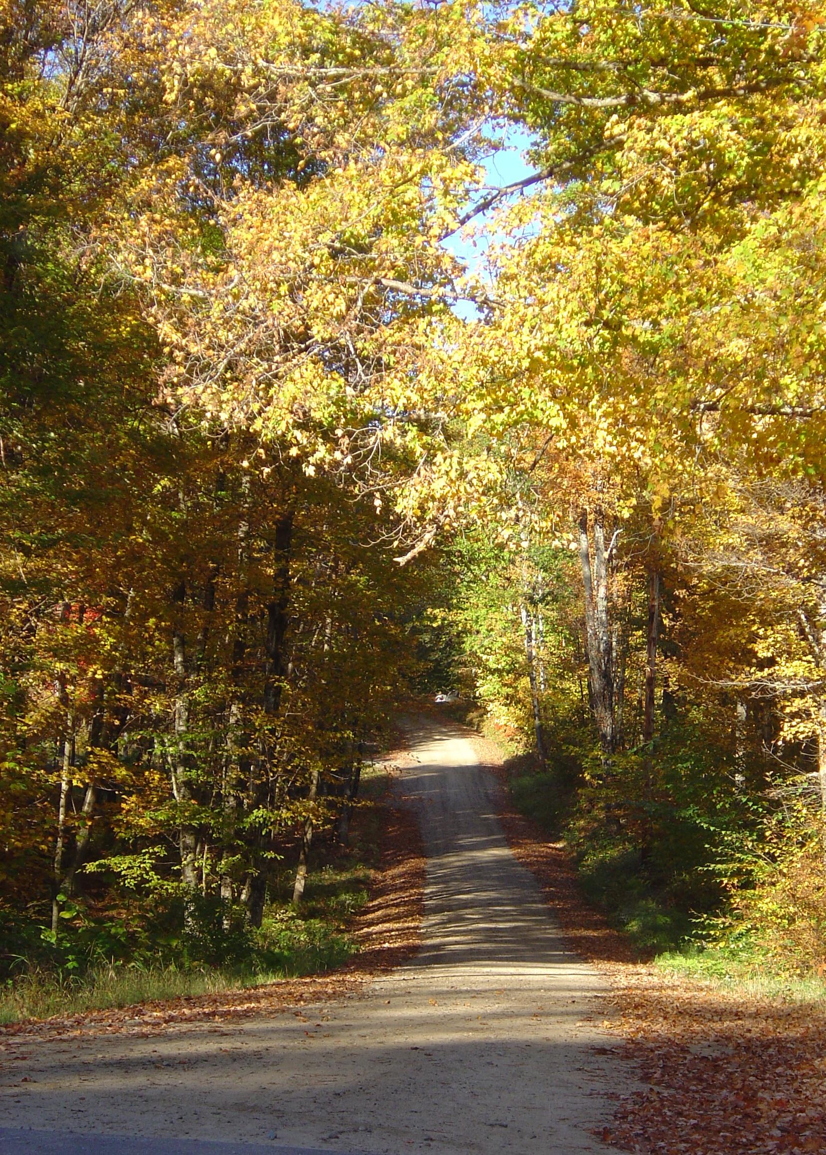 Country Road in Autumn (user submitted)