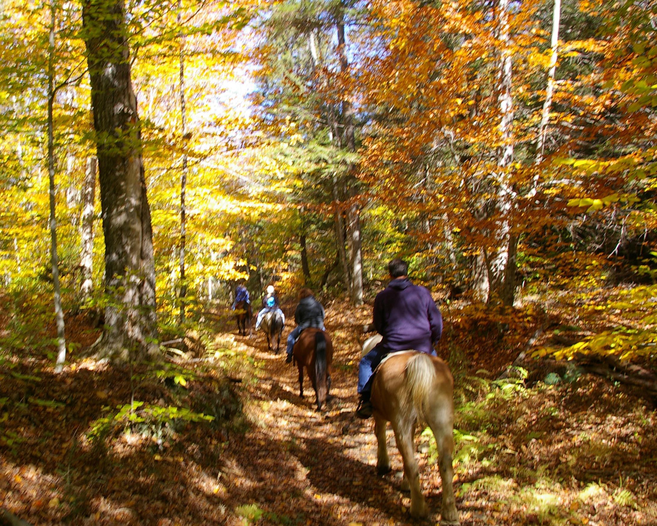 Fall Trail Ride (user submitted)