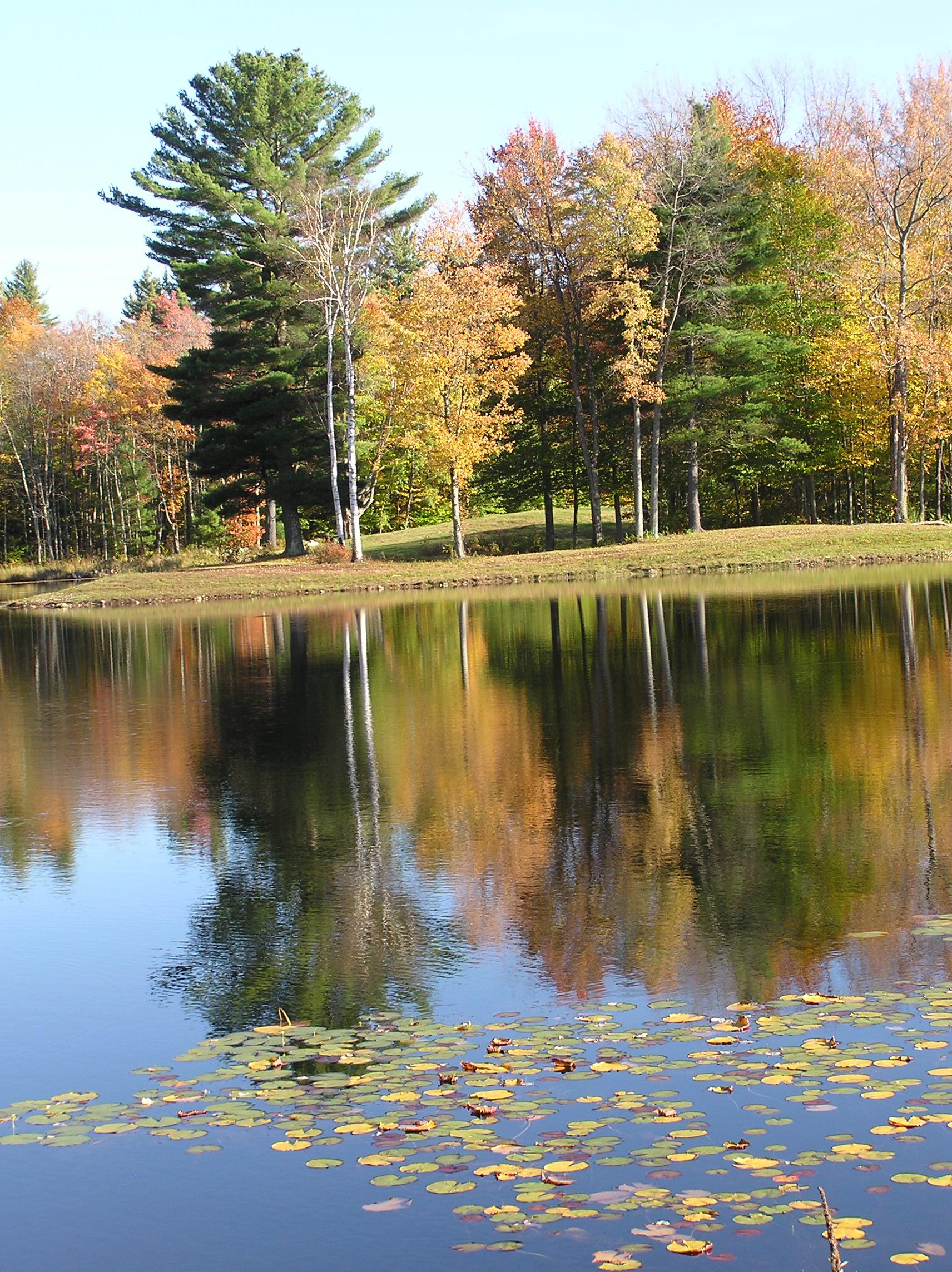 Shaker Village Pond (user submitted)