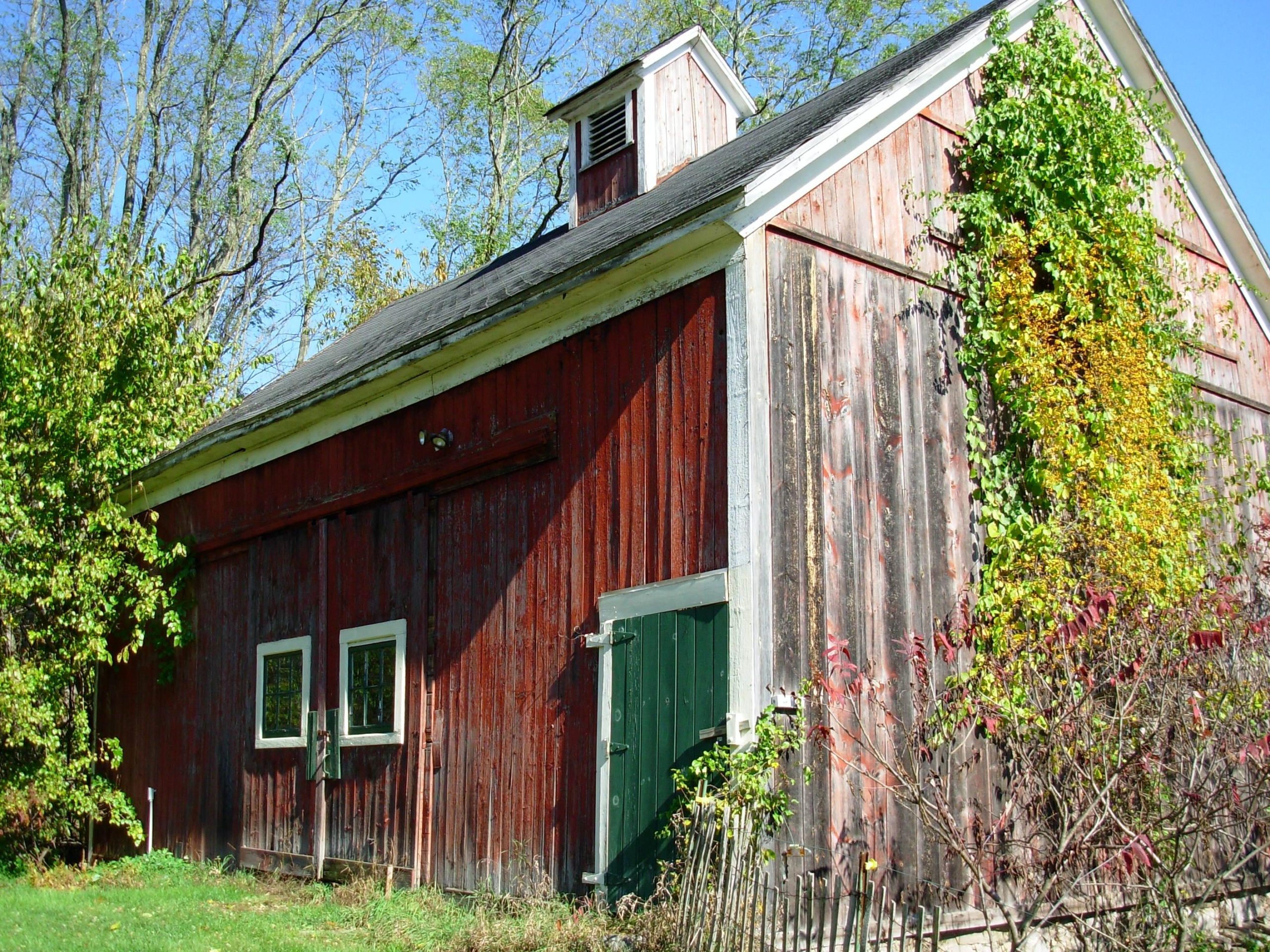 Vine-Covered Barn (user submitted)