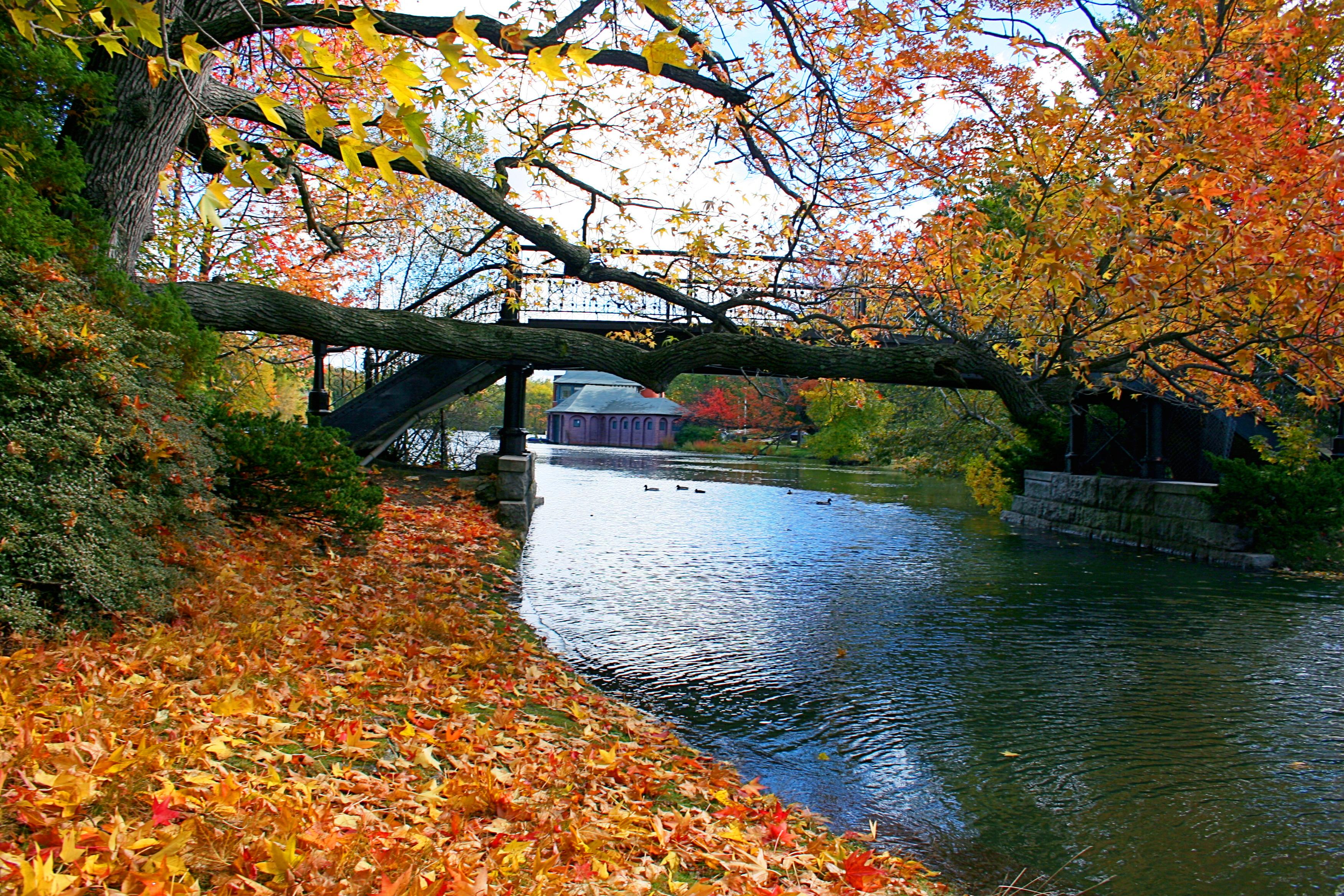 Roger Williams Park - New England Today