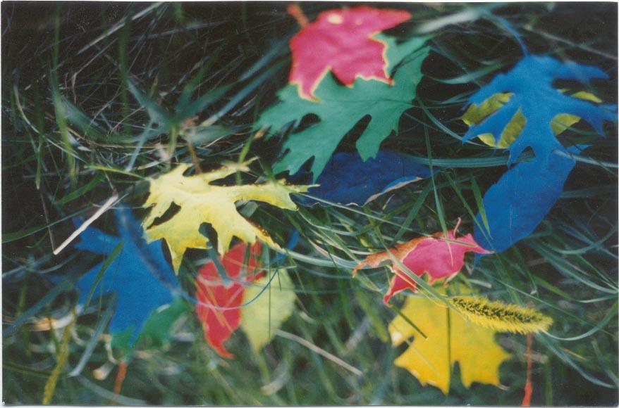 Fauvism Foliage (user submitted)