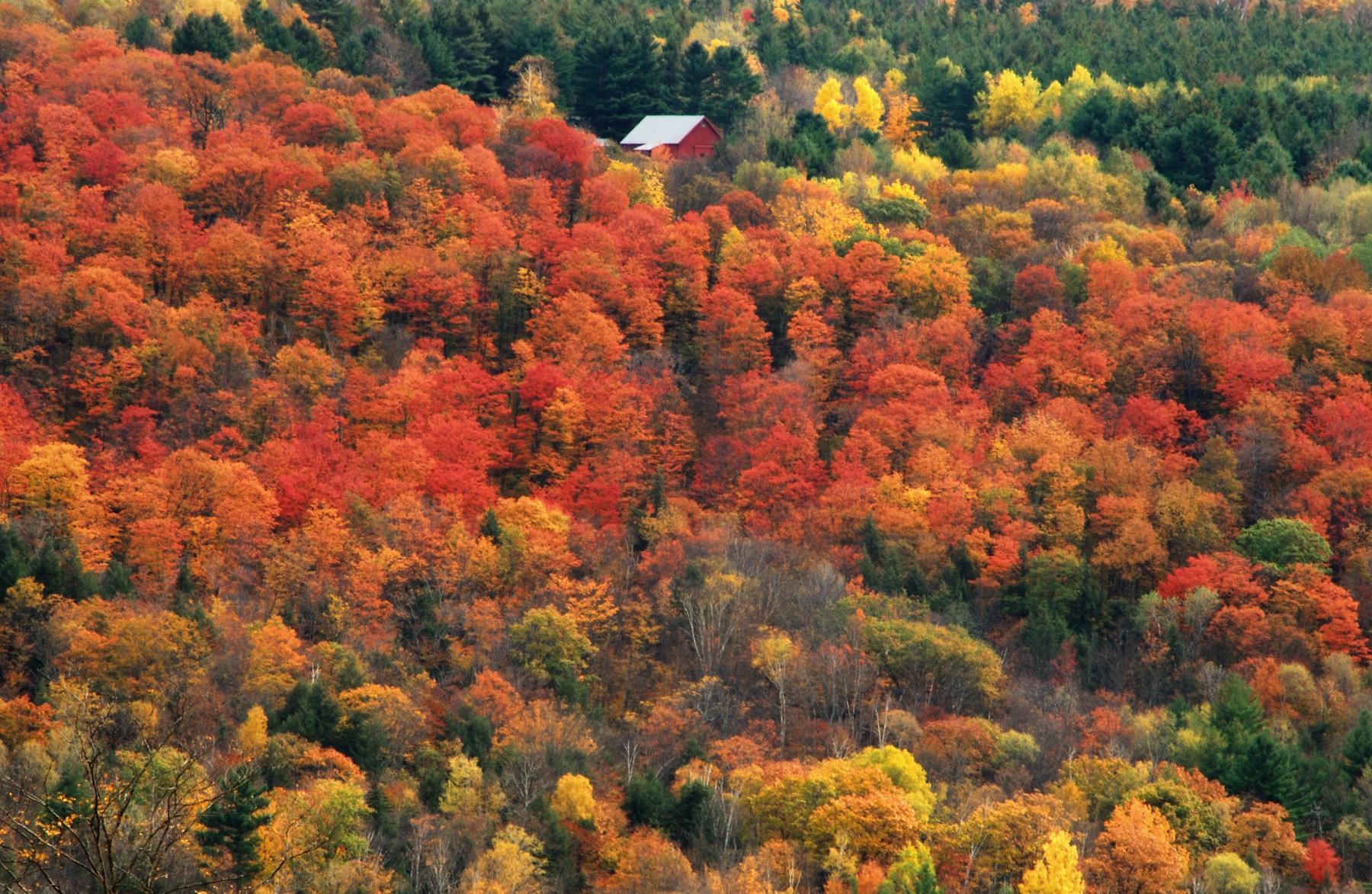 Vermont Hillside (user submitted)