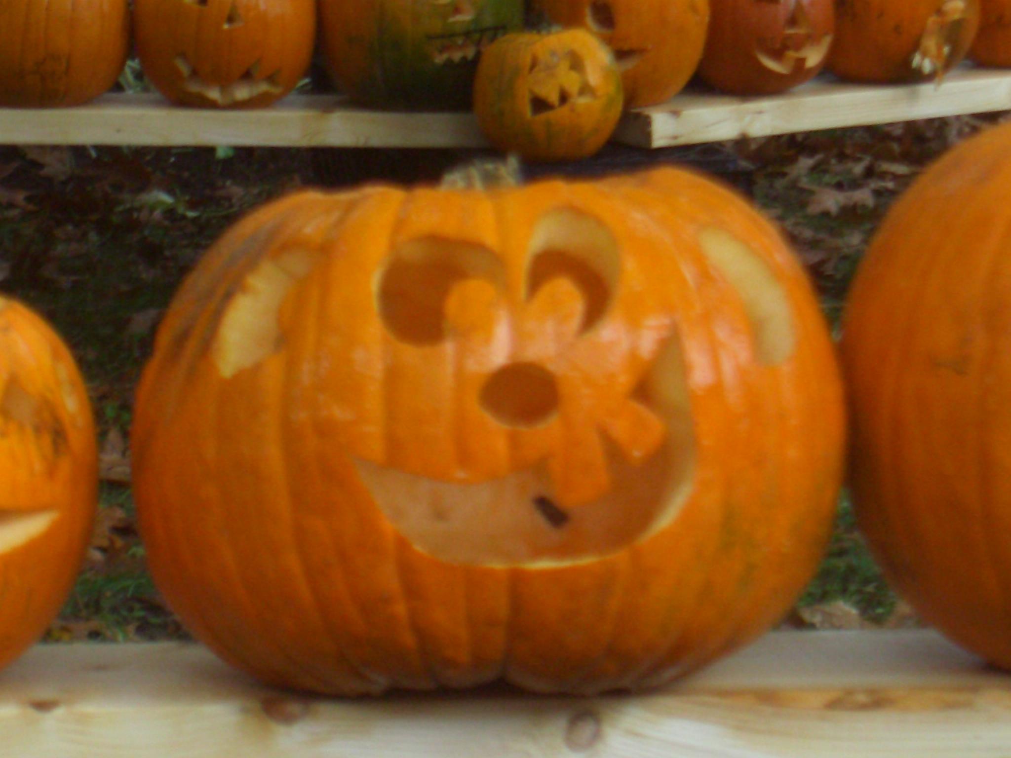 Happy Pumpkin (user submitted)