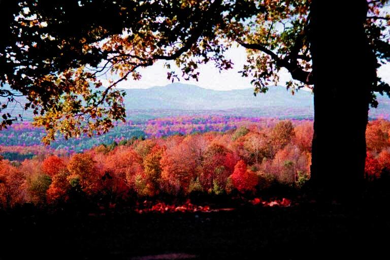 Grandview in Autumn (user submitted)