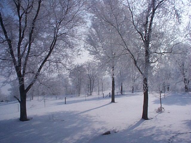Winter Wonderland (user submitted)