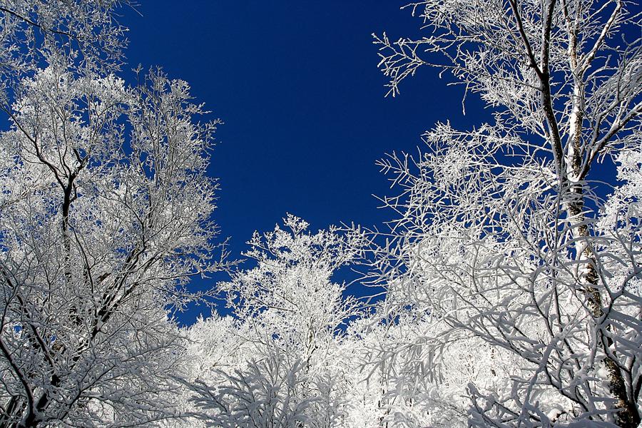 Frosty Bright - New England