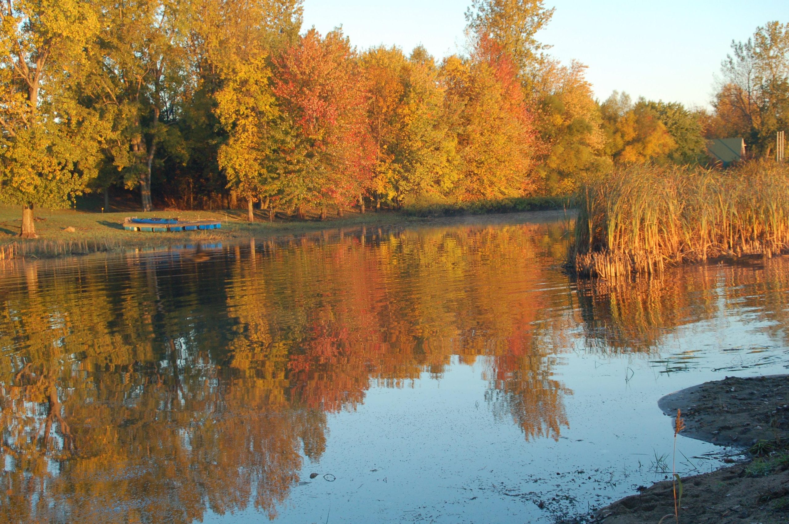 Fall on Lake Champlain (user submitted)