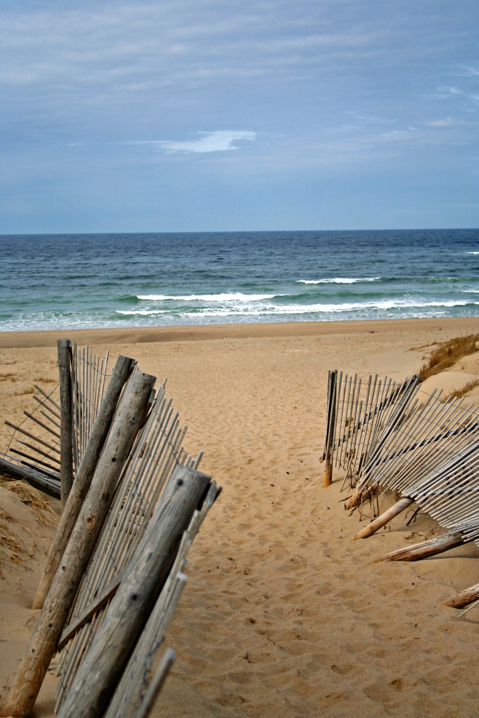 Sand Fence (user submitted)