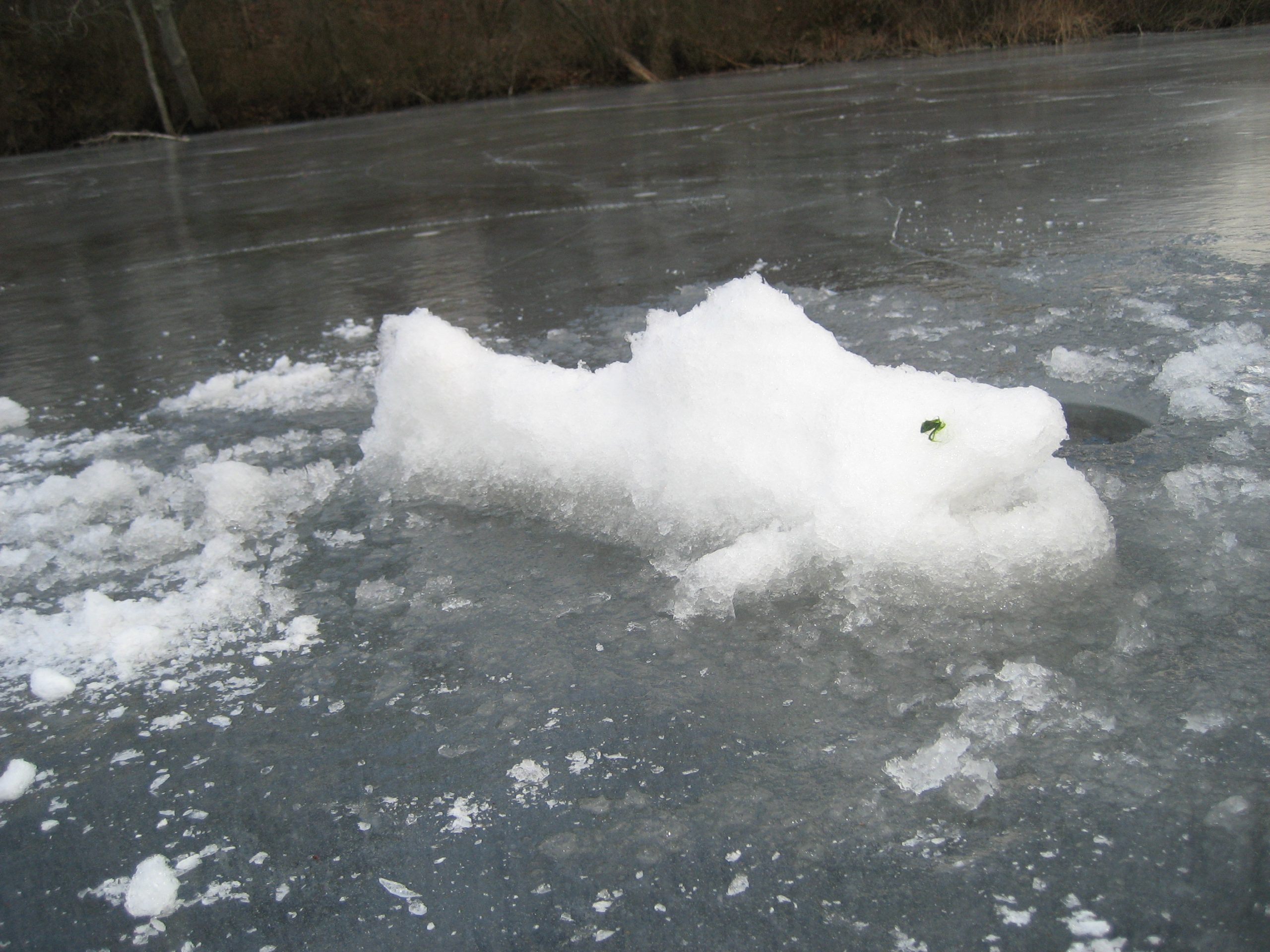 Ice Fish on Mechanics Pond (user submitted)
