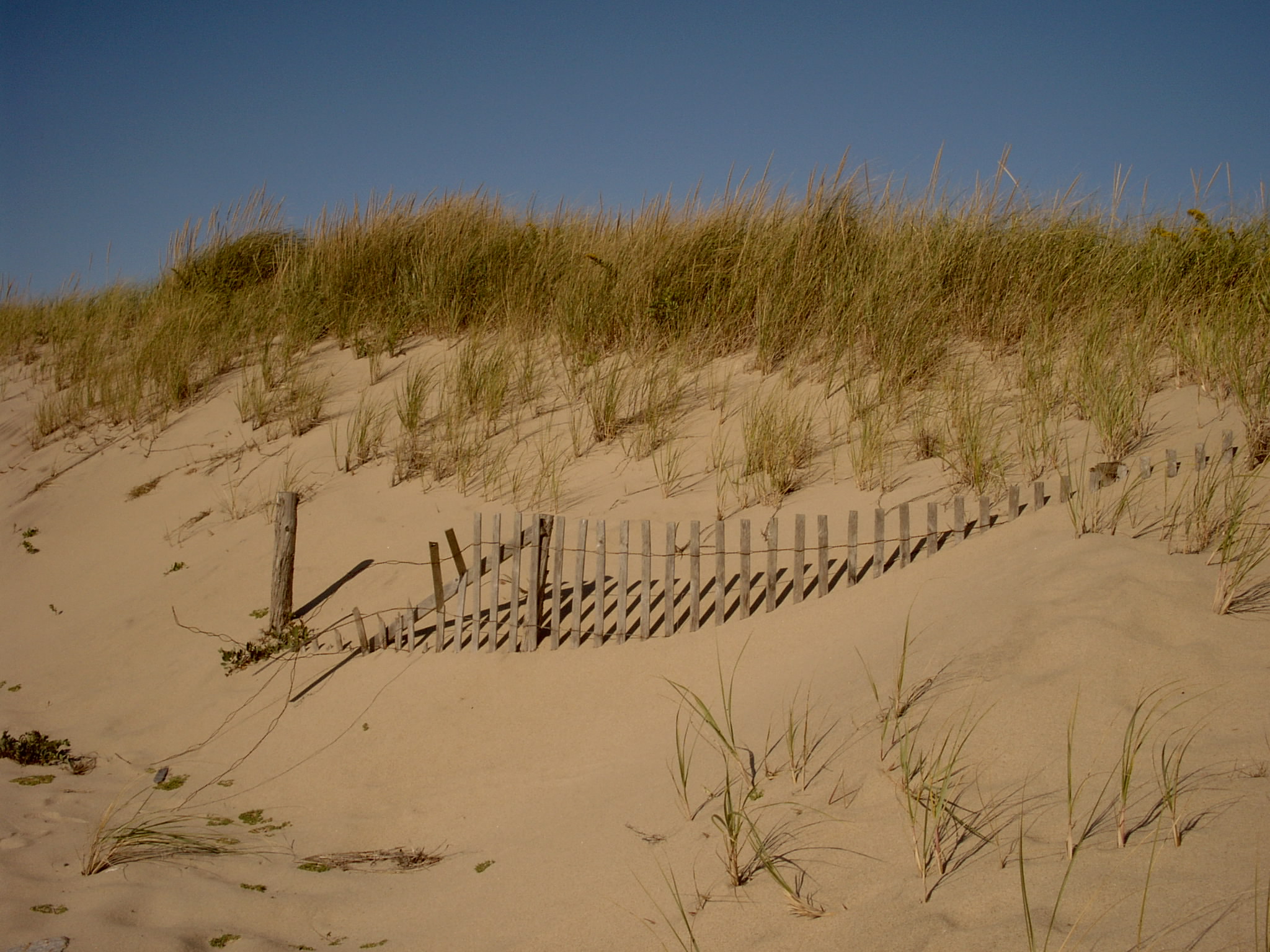 Cape Cod National Seashore (user submitted)