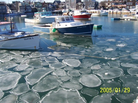 Icebergs in Rockport (user submitted)