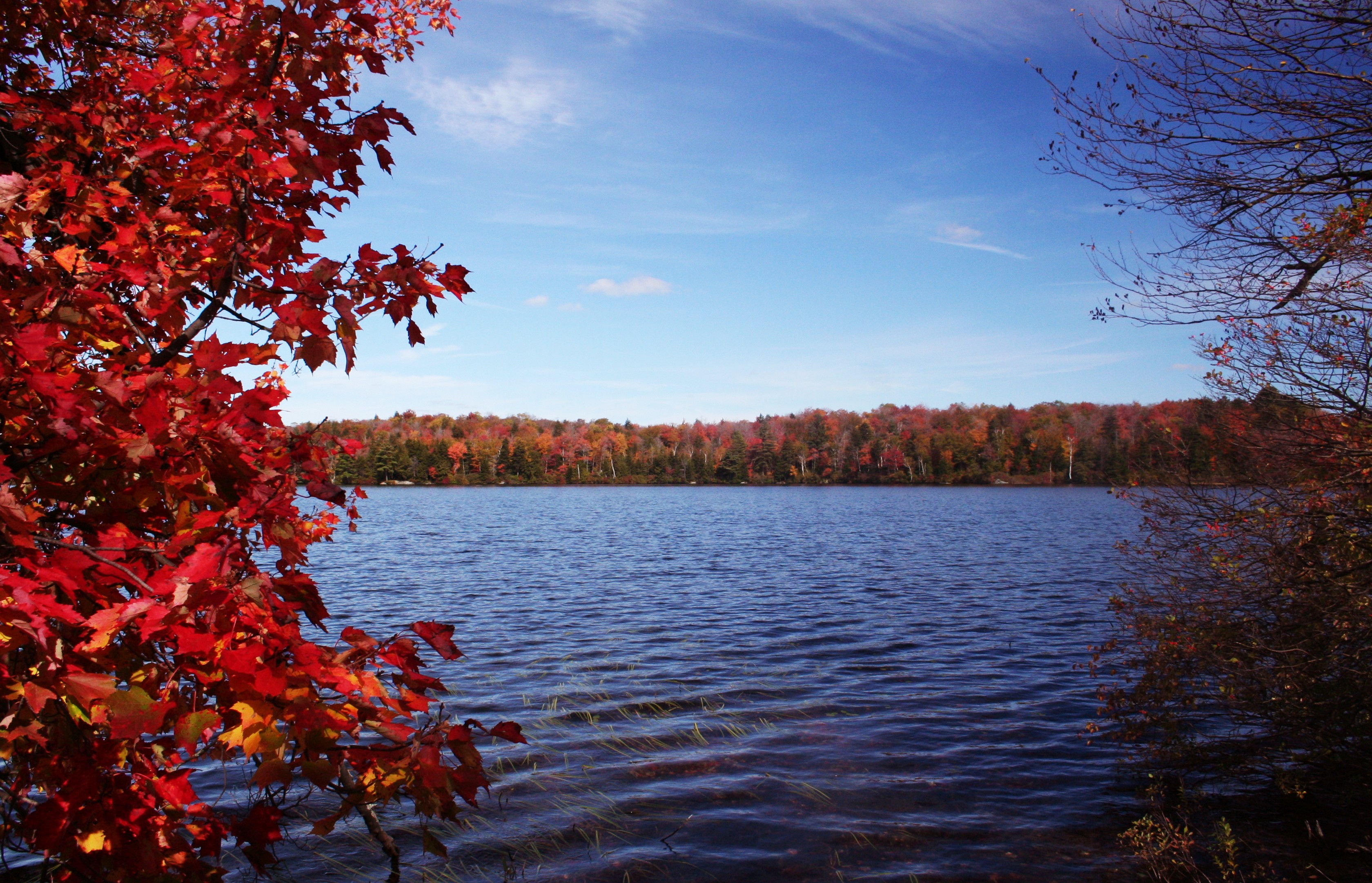 Autumn in the Berkshires - New England Today