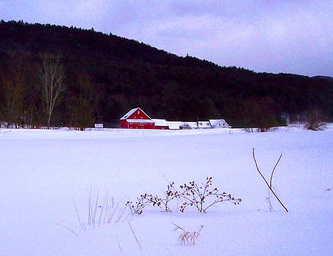 Vermont Winter Fieldscape (user submitted)