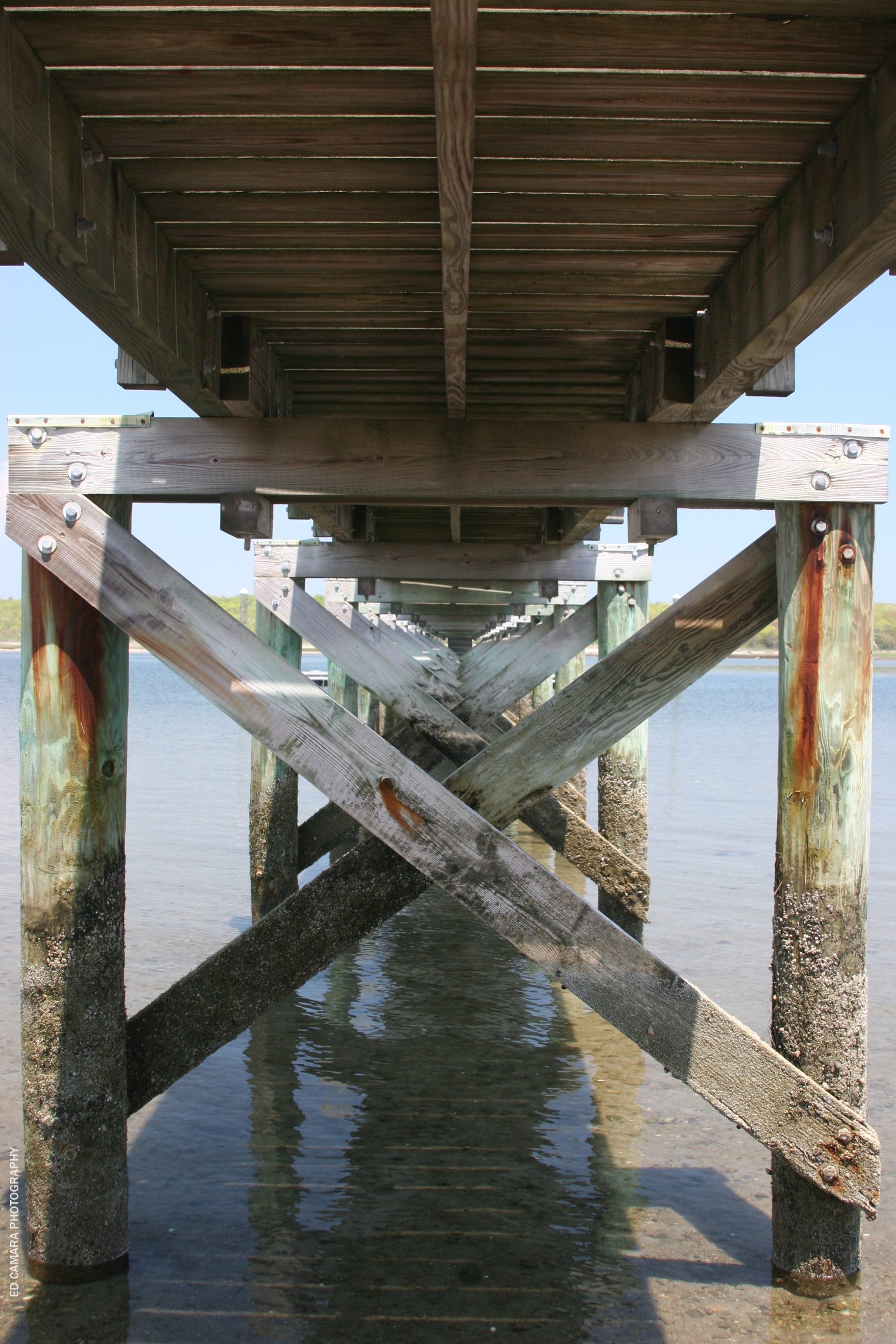 Under the Pier (user submitted)