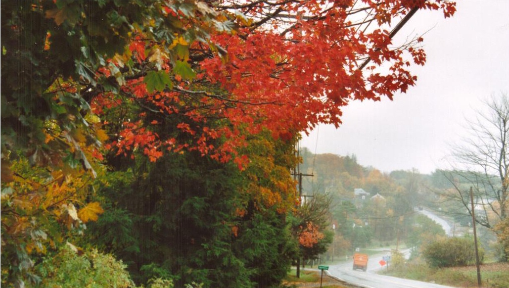 Hampden Maine Fall (user submitted)