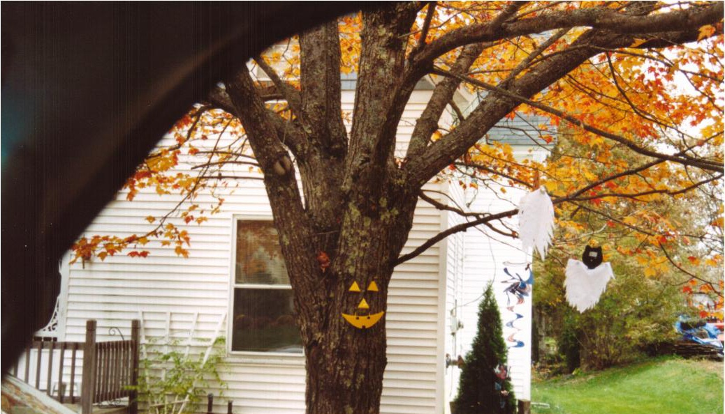 Halloween in Hampden (user submitted)