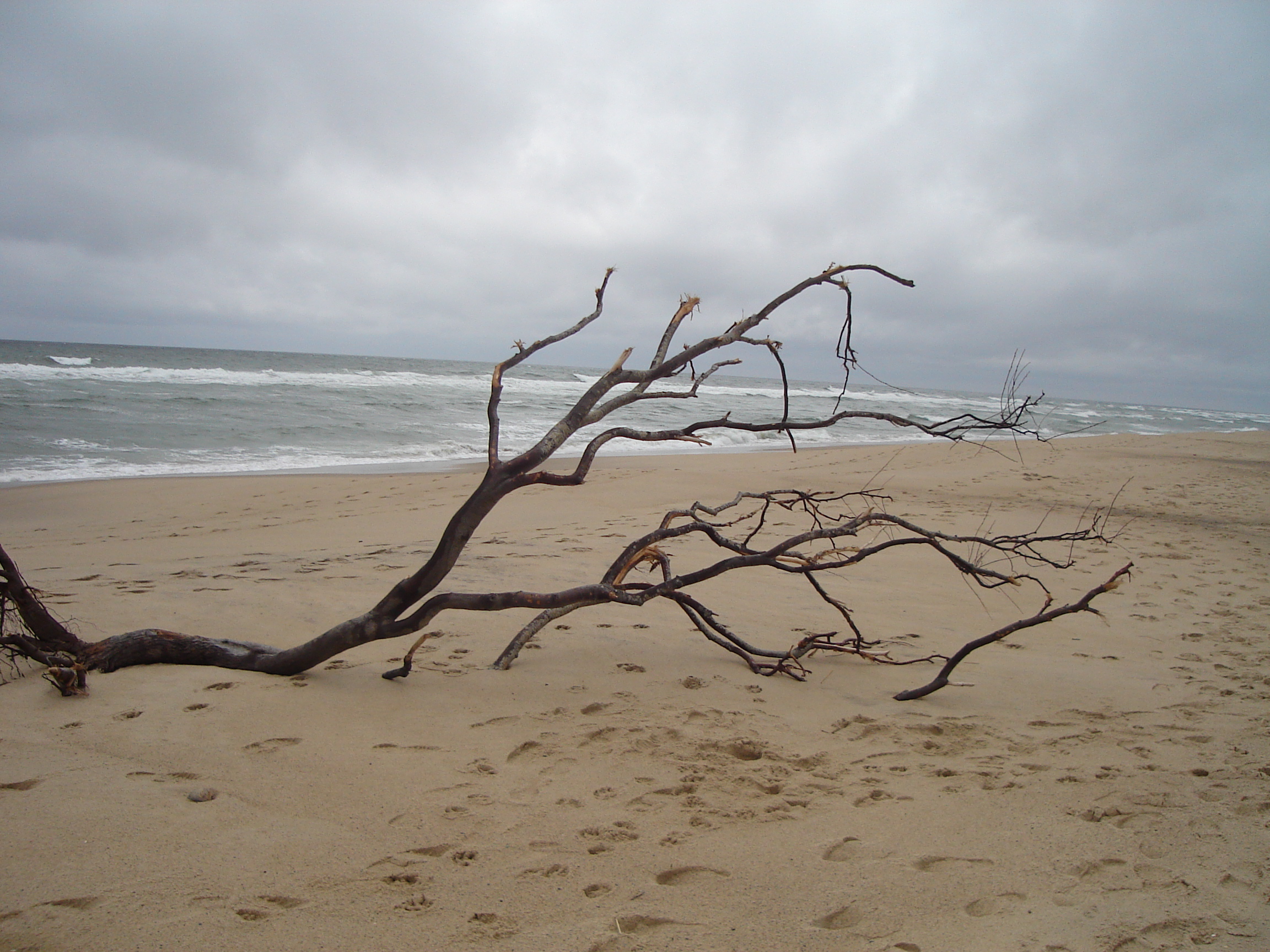 Coast Guard Beach in February (user submitted)