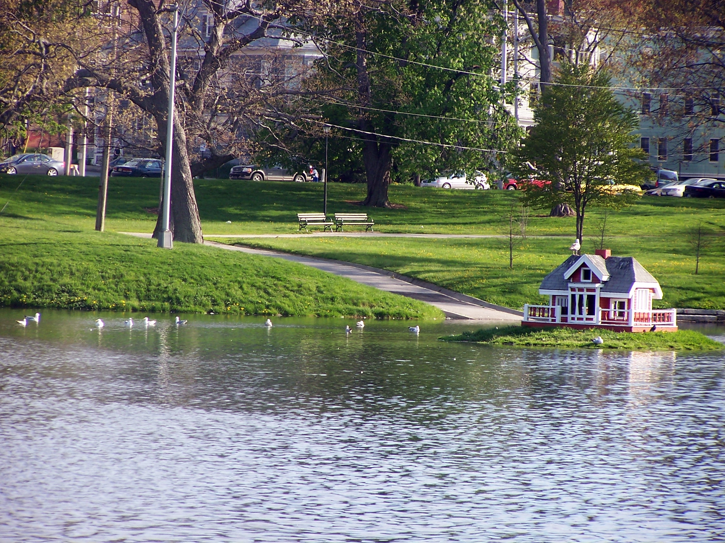Duck House: Deering Oaks Park (user submitted)