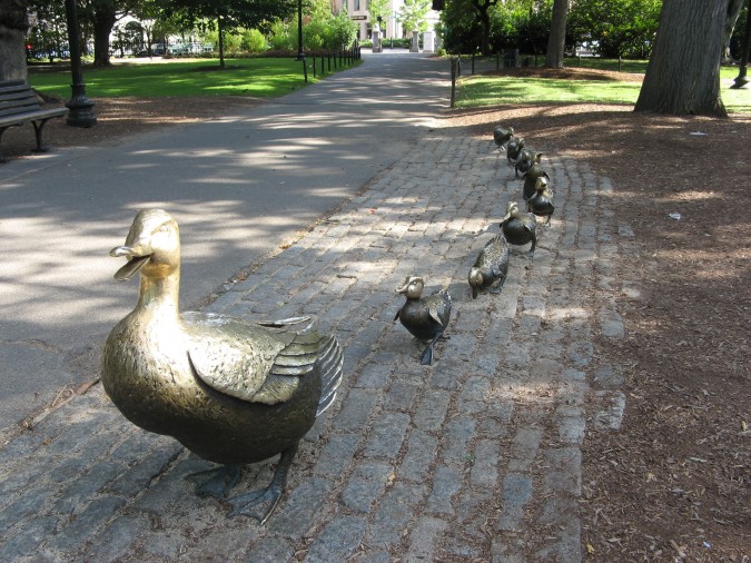 Make Way For The Ducklings 