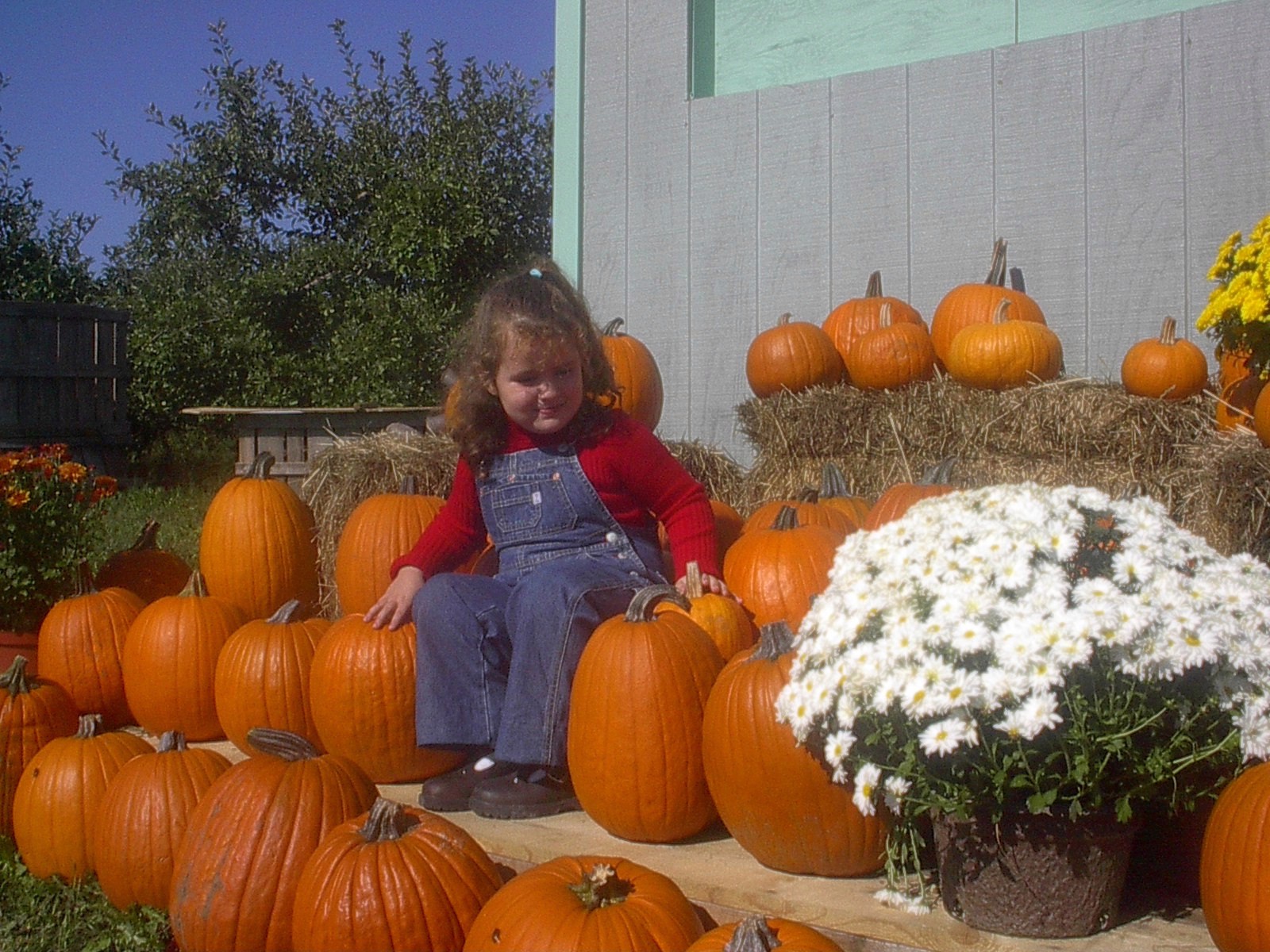 Granddaughter Enjoying a Fall Day (user submitted)