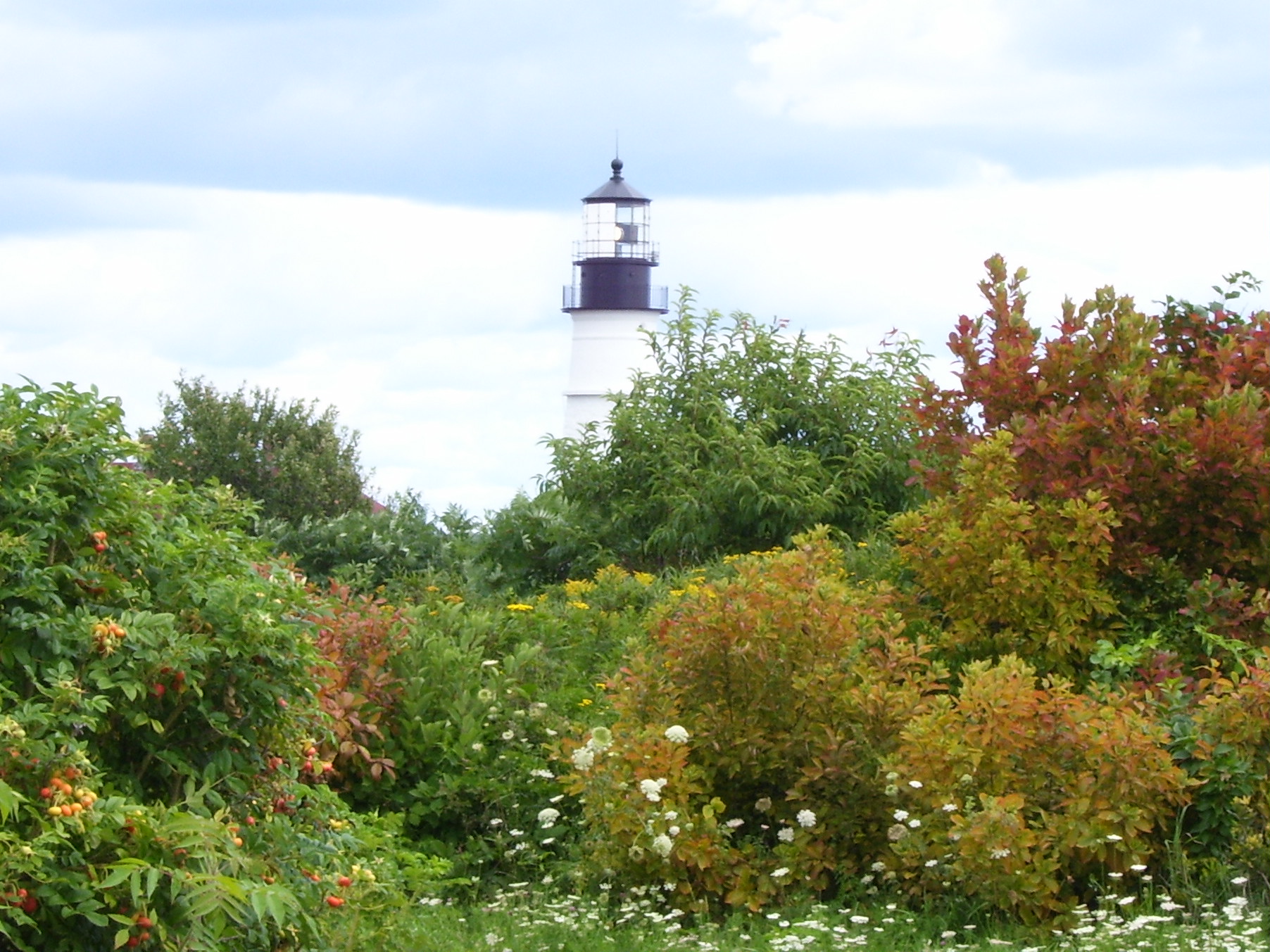 Fall Colors at Fort Williams (user submitted)