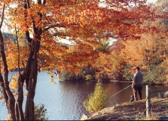 Autumn Fishing (user submitted)