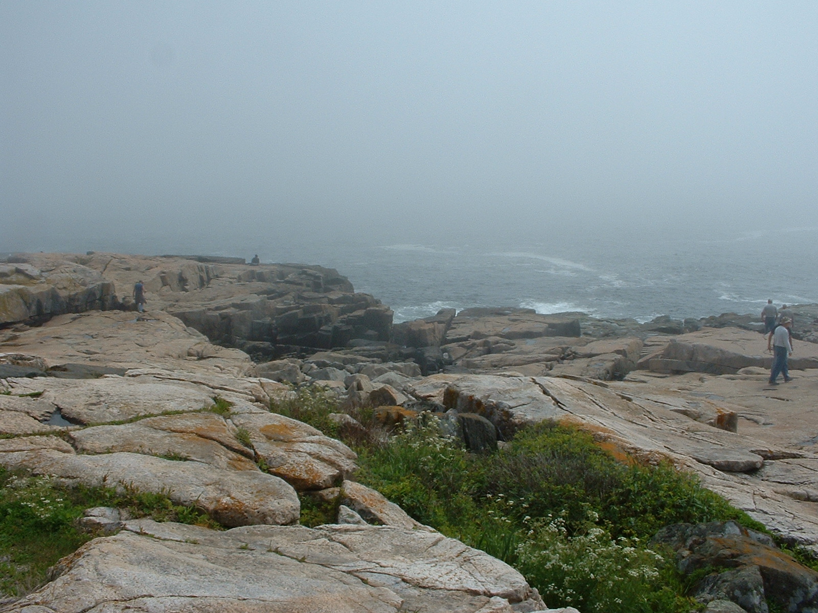 The Rocky Coast of Maine (user submitted)
