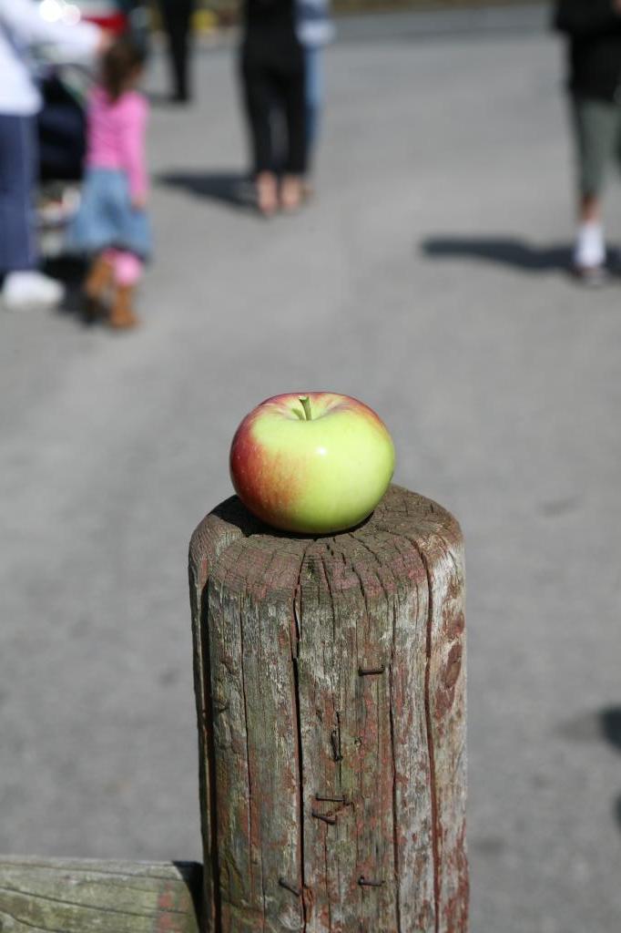 Lone Apple (user submitted)