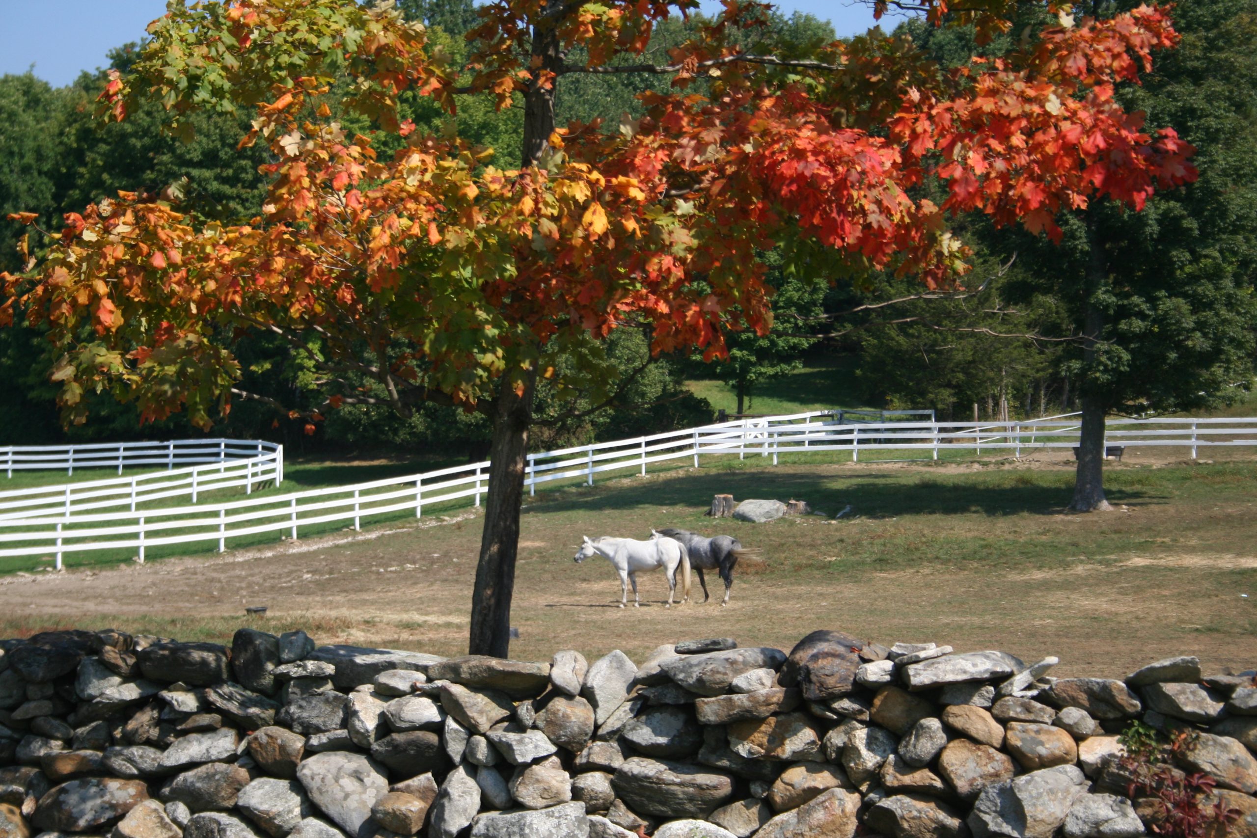 Picturesque Farm and Wall in Autumn (user submitted)