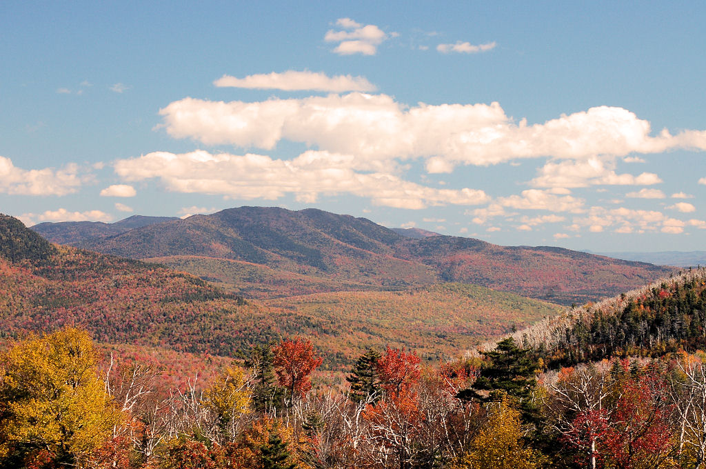 White Mountains Fall (user submitted)