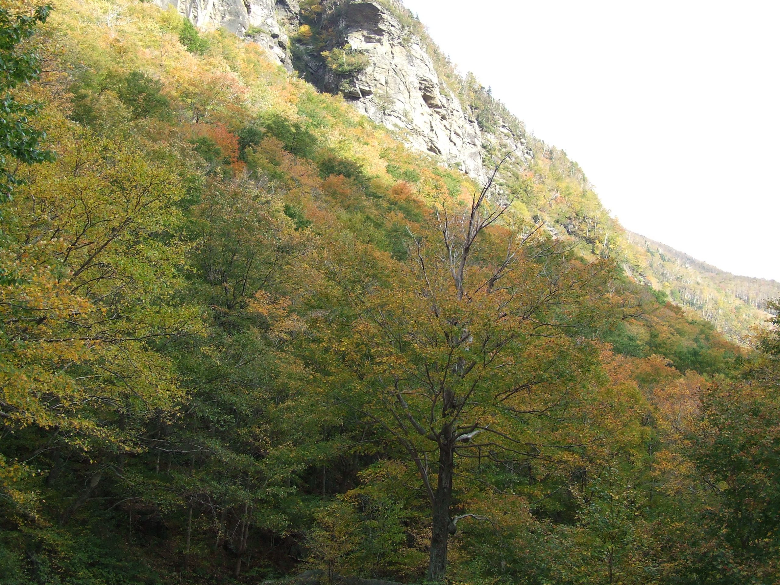Smugglers Notch (user submitted)