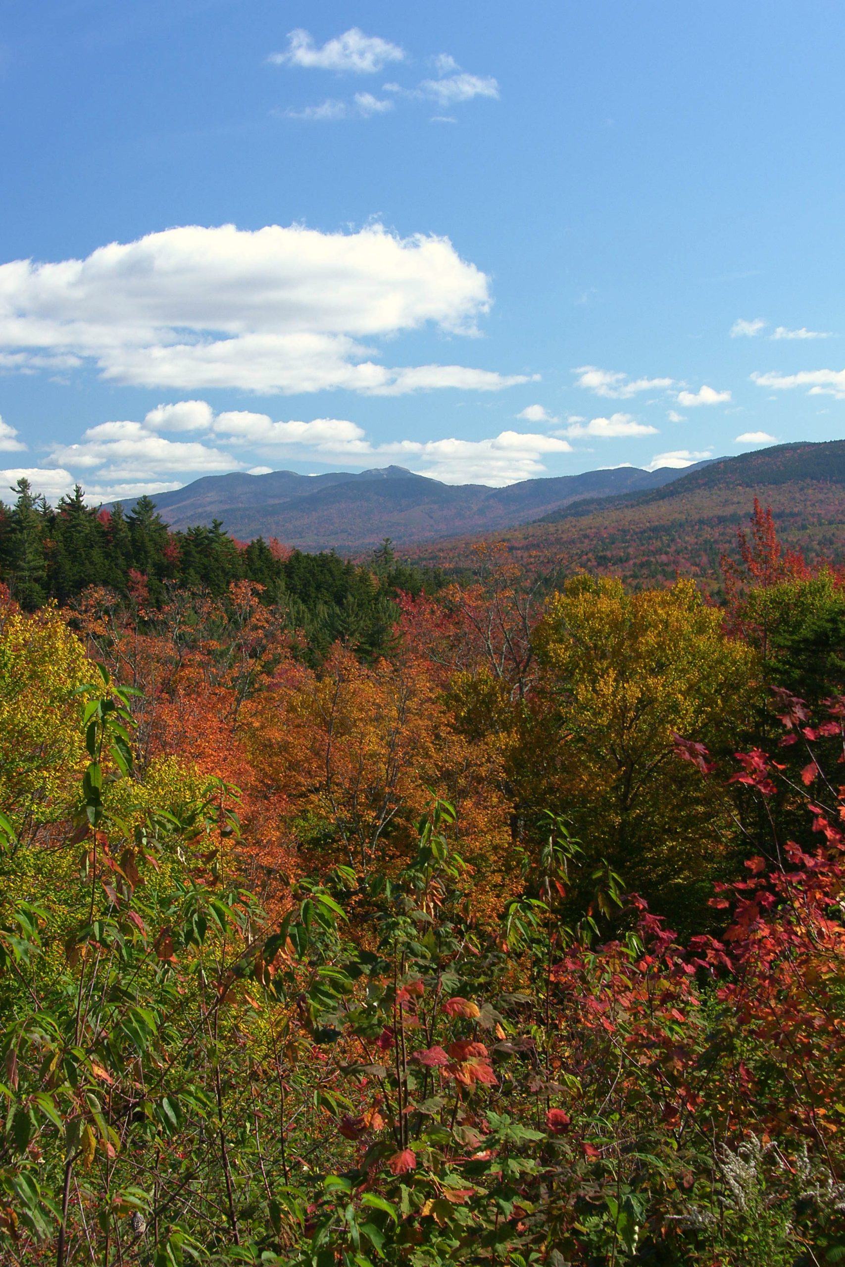 Fall Colors New England