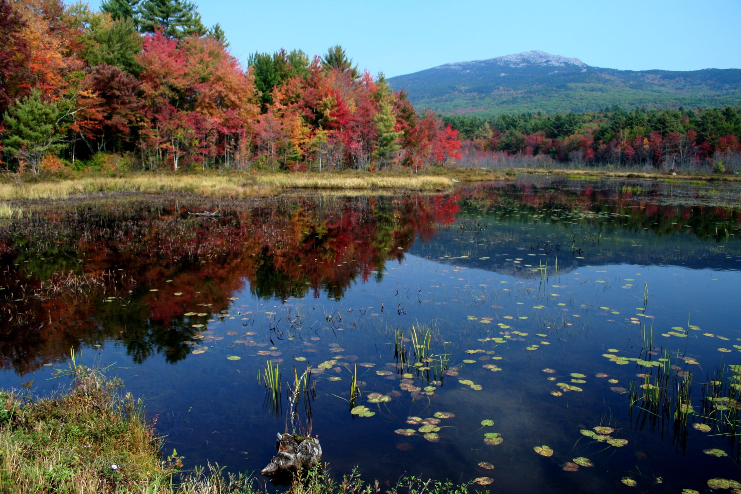 Early Color @ Monadnock (user submitted)