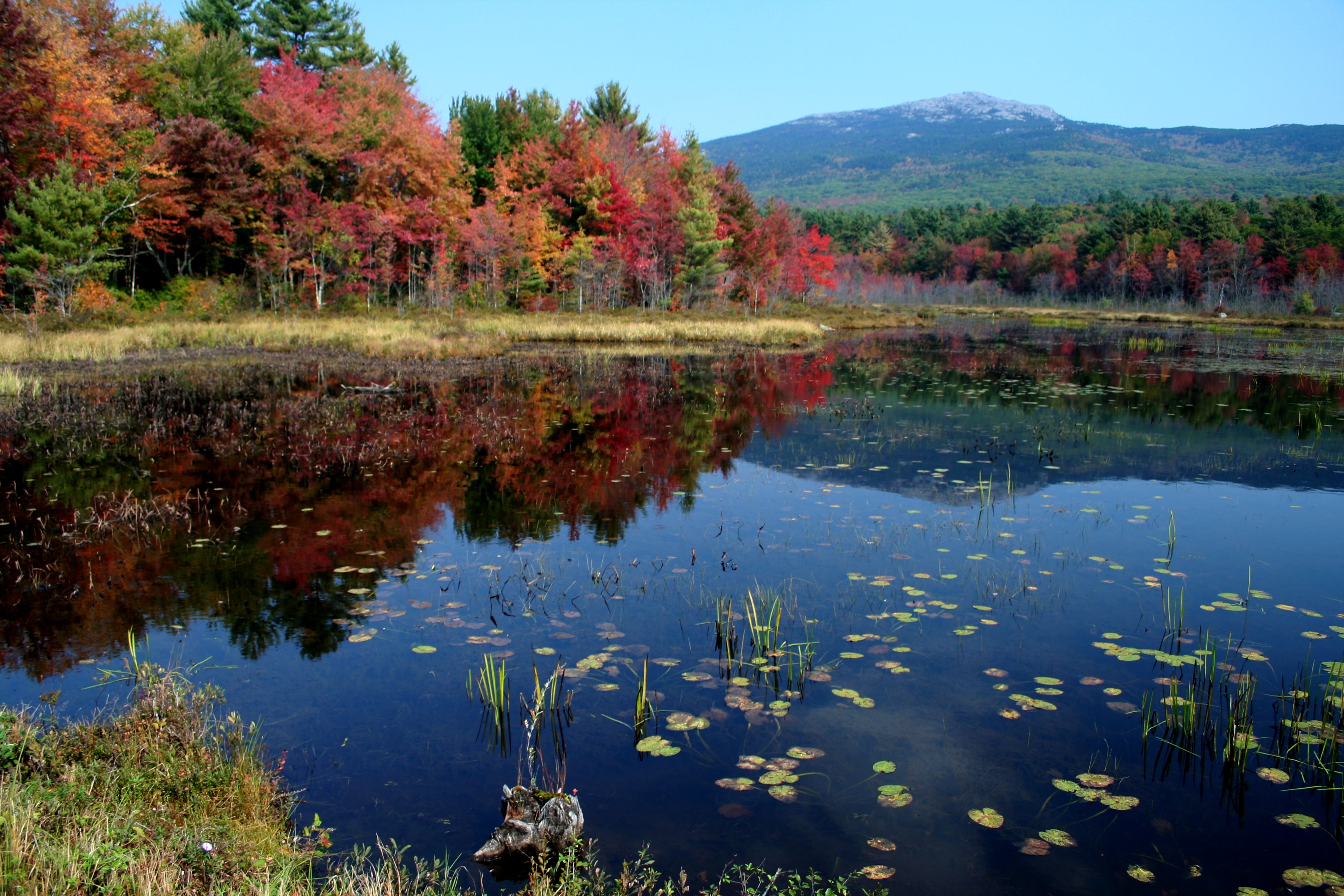 Early Color @ Monadnock - New England Today