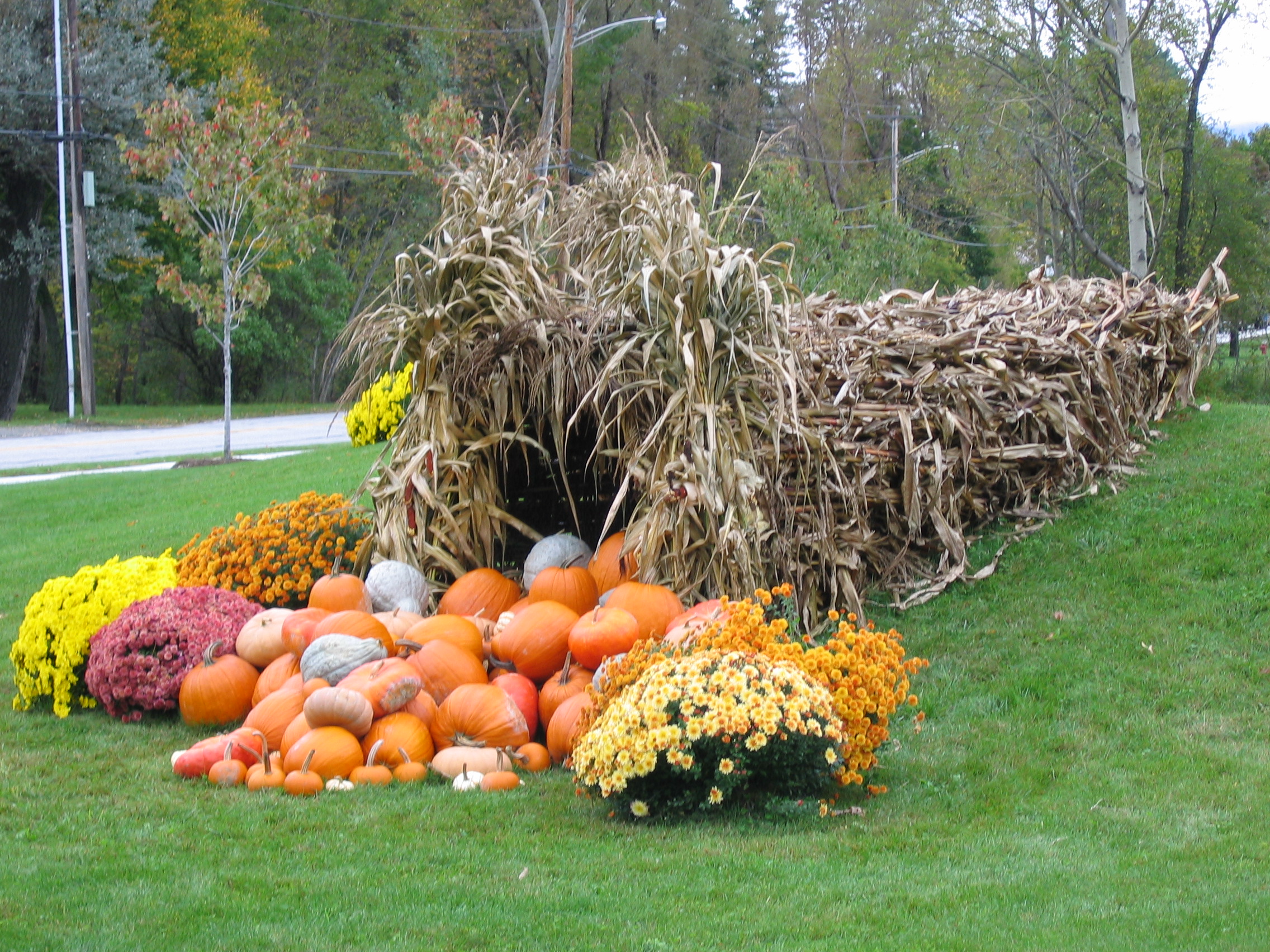 Cornucorpia &#8211; Fall in Vermont (user submitted)