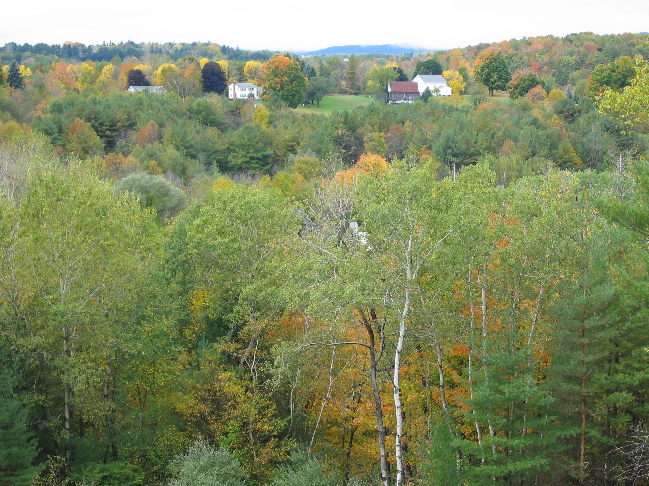 Fall in the Berkshires (user submitted)