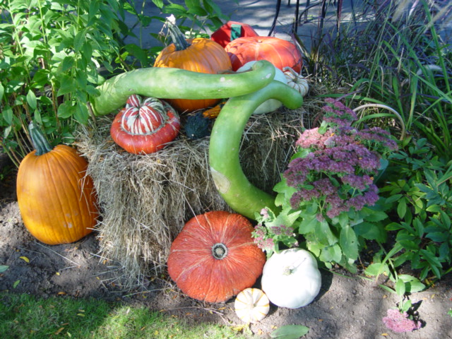 Perkins Cove Garden Delights (user submitted)