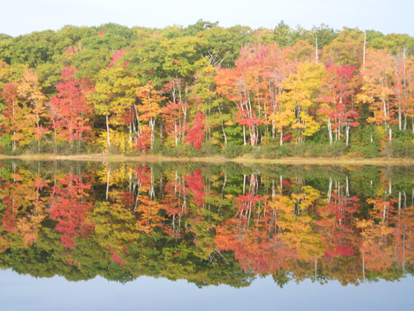 Fall Reflections in Maine (user submitted)