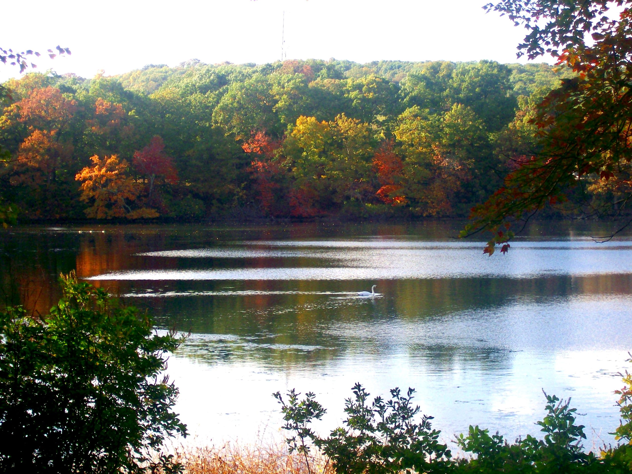 Fall on Meshanticut Lake (user submitted)