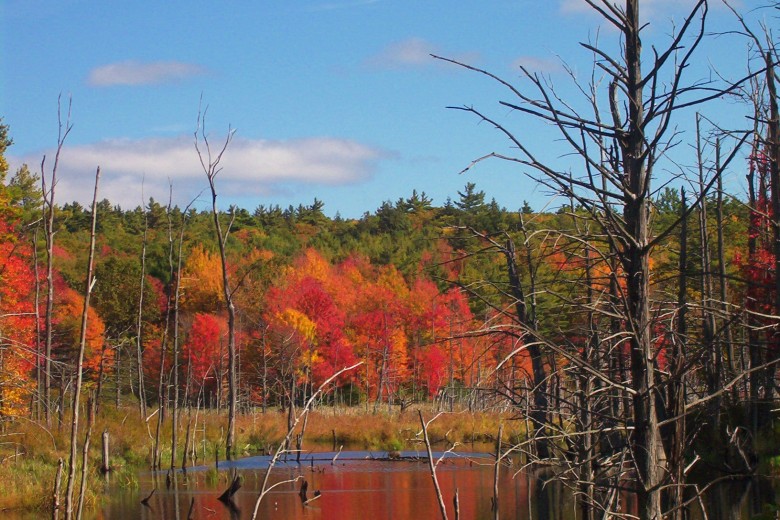 Striking fall foliage in Ashburnham, Massachusetts. 