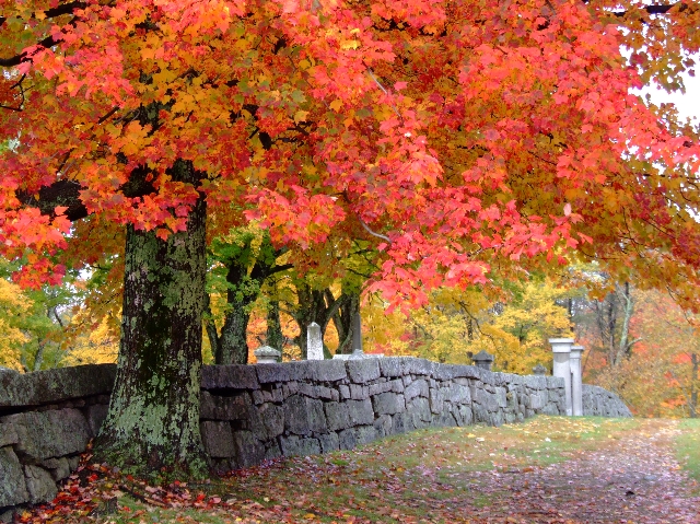 Cemetery in Candia 