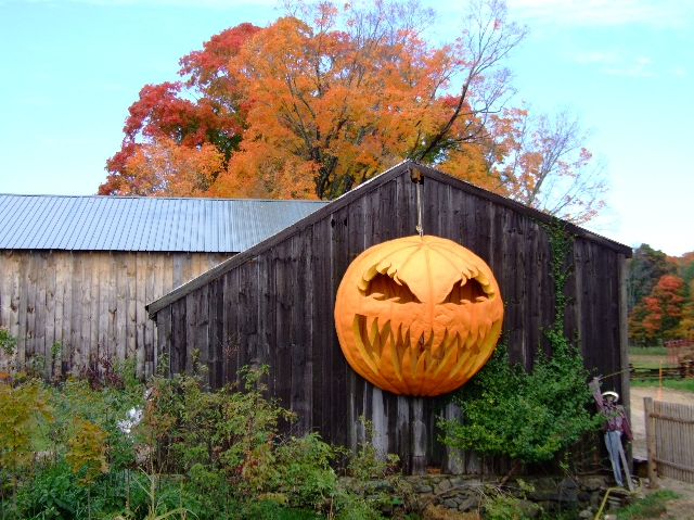 Halloween at the Farm (user submitted)