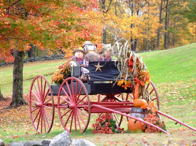 Fall Decoration (user submitted)