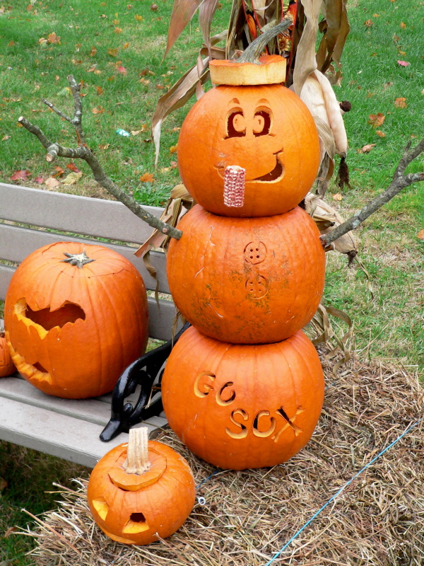Go Sox Pumpkin Man (user submitted)